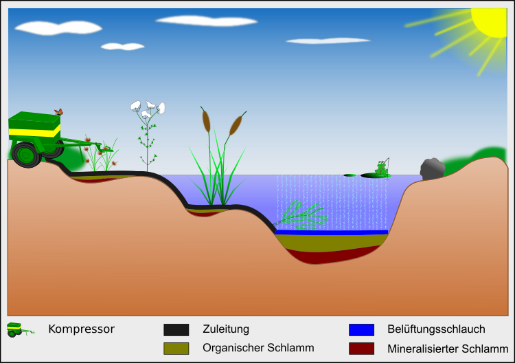 Schematische Darstellung