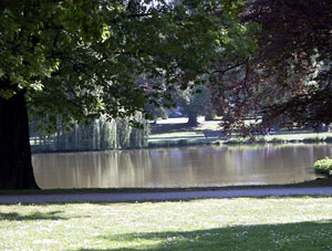 Sanierung von Parkgewässern